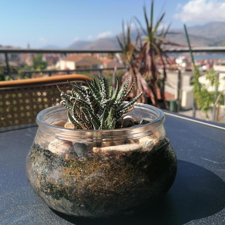 Argostoli Loft Aparthotel Bagian luar foto